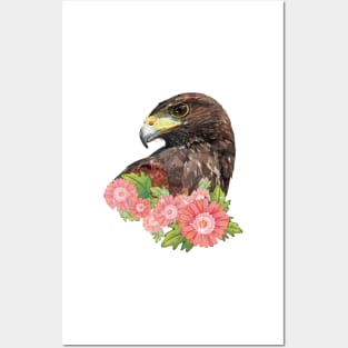 harris hawk Posters and Art